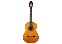 Antonius Müller - 2013 Doubletop
