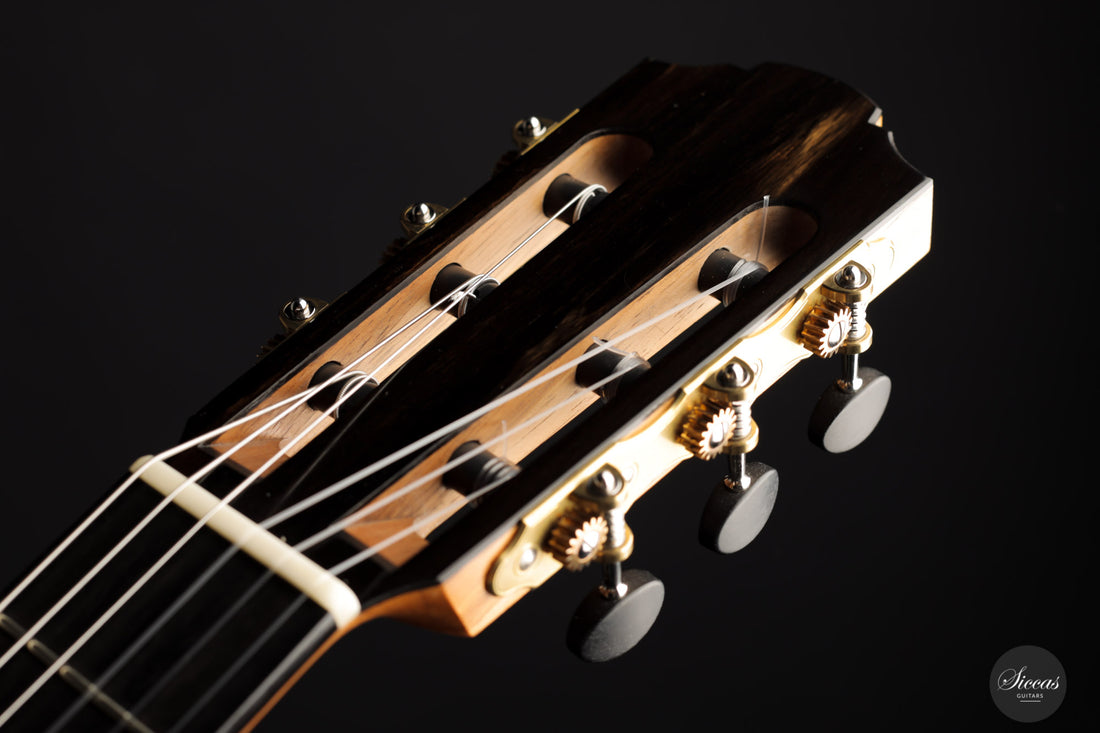 Nils Schebesta - 2021 Cedar/Rosewood