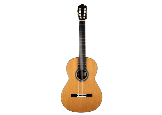 Nils Schebesta - 2020 Zeder