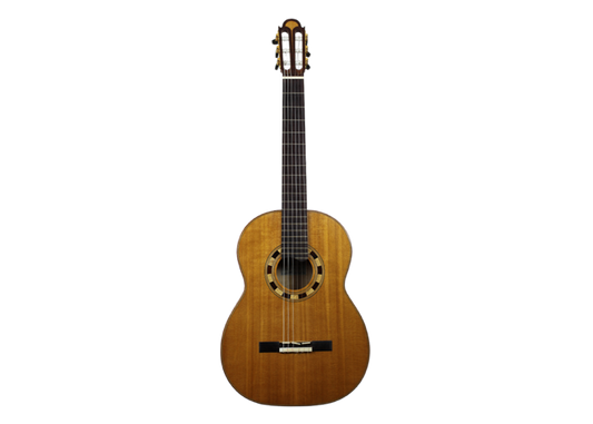 Norbert Ulbrich - 2003