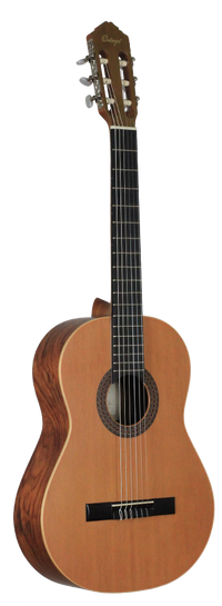 Ortega - R-180