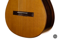 Otto Rauch - 2023 Doubletop No. 286 “Domenico Montagnana – The sleeping beauty”