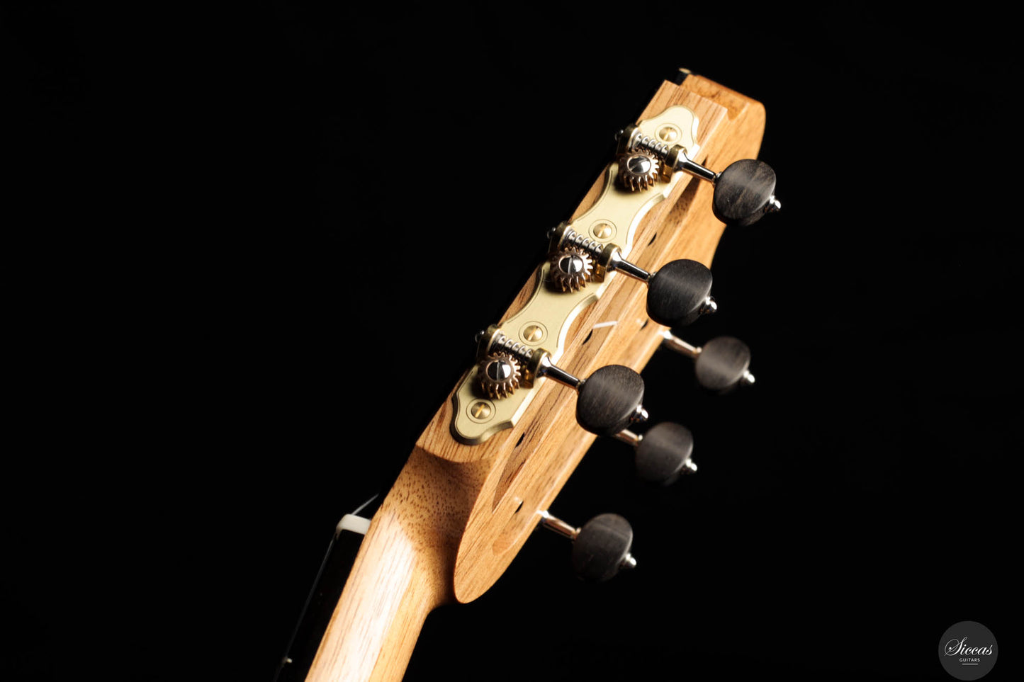 Paul Hildebrandt – 2024 No. 14