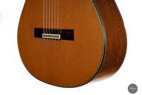 Paulino Bernabé - 2022 Colección No. 3
