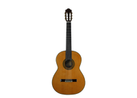 Paulino Bernabé - M5 2014