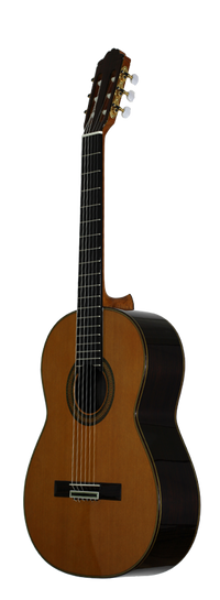 Paulino Bernabé - M5 2014
