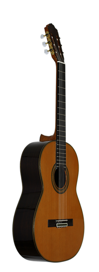 Paulino Bernabé - M5 2014