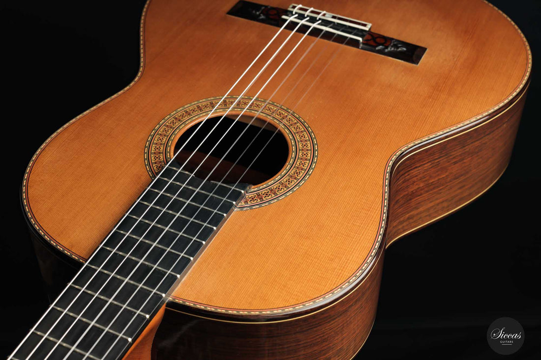 Petar Antic - 2010 No. 05 Left-hand