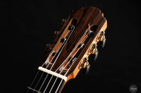 Petar Antic - 2012 No. 12 Linkshand