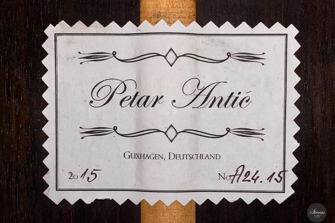 Petar Antic - 2015 - 8-Saitig