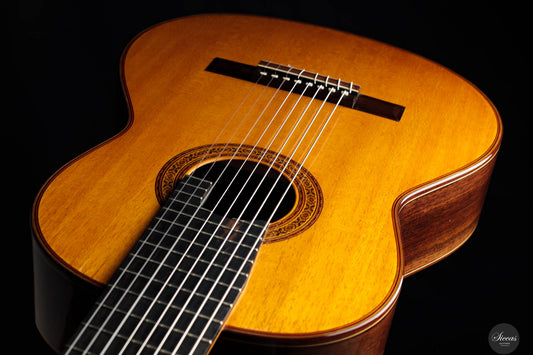 Petar Antic - 2015 - 8-Saitig