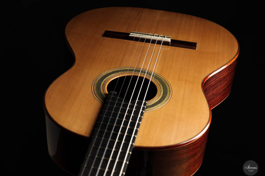 Pete Beer - 2025 No. 105 64 cm