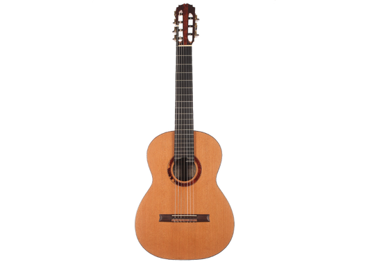 Petr Matoušek – 2010 Doubletop 7-string