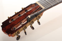 Petr Matoušek – 2010 Doubletop 7-string