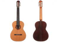 Petr Matoušek – 2010 Doubletop 7-string