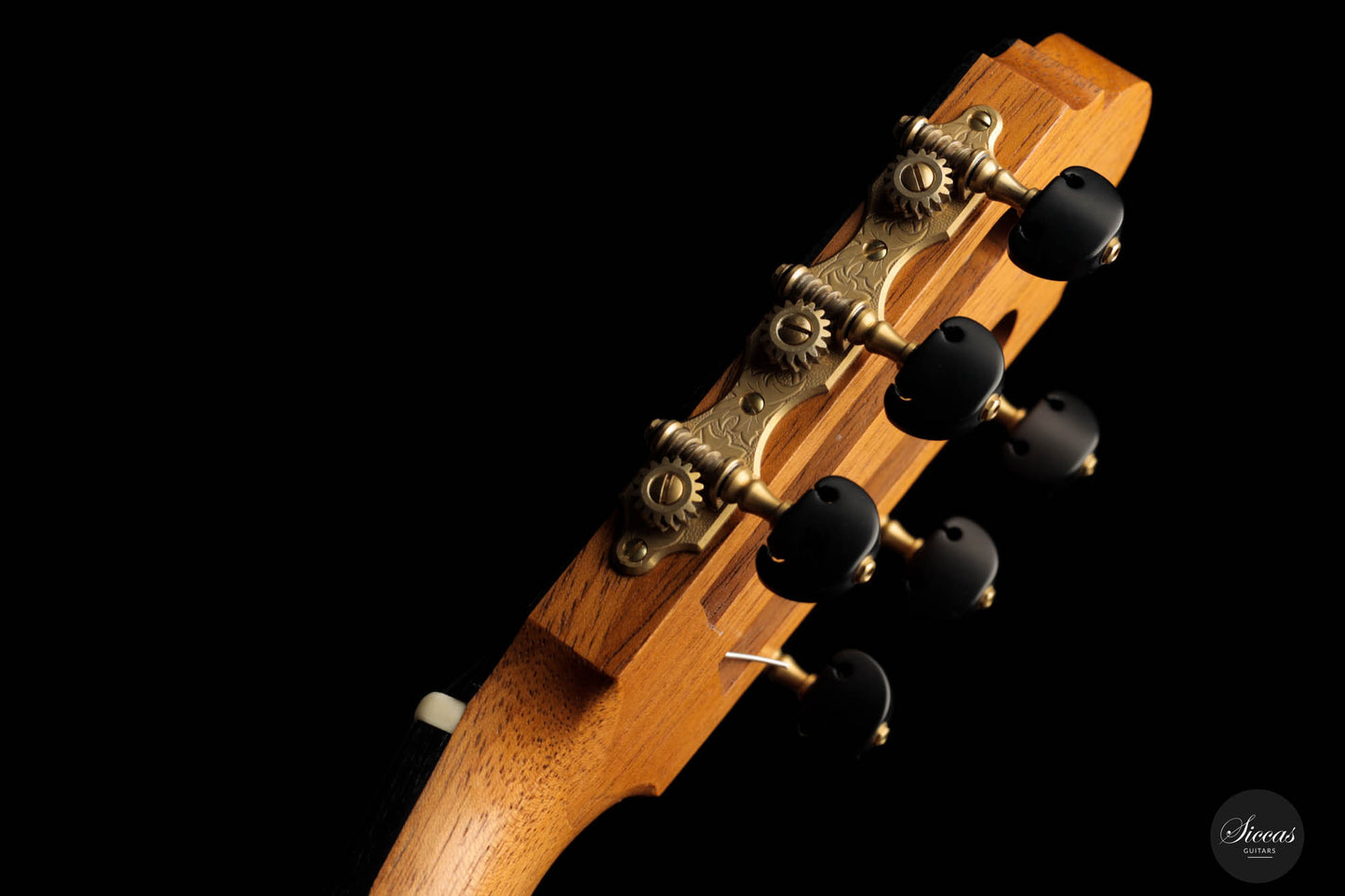 Philip Woodfield - 2018 "Desiree" No. 398