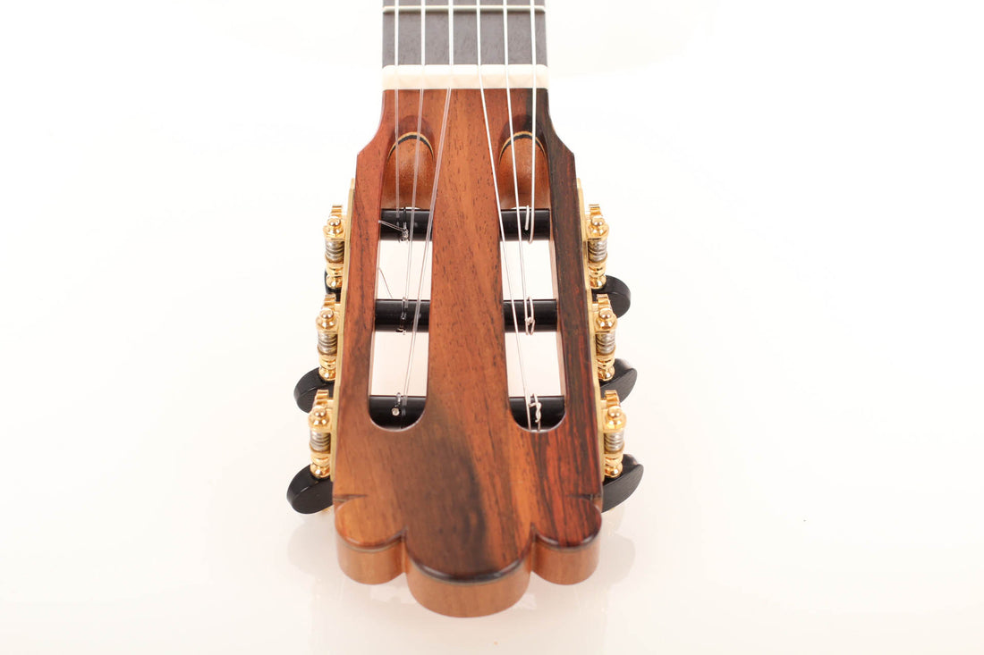 Rafael Moreno - 2016