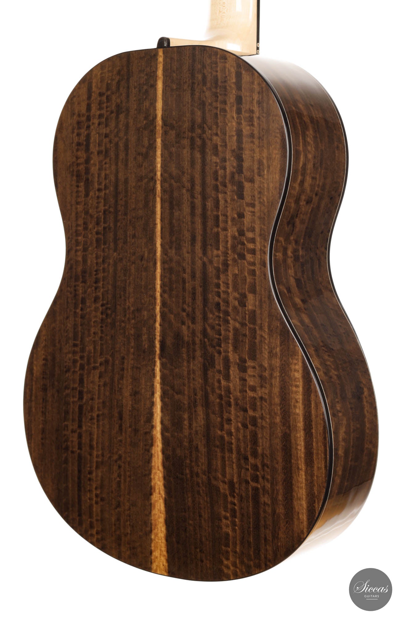 Rafal Turkowiak - 2023 Doubletop 64 cm No. 548 Eucalyptus