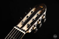 Rafal Turkowiak - 2023 Doubletop 64 cm No. 548 Eucalyptus