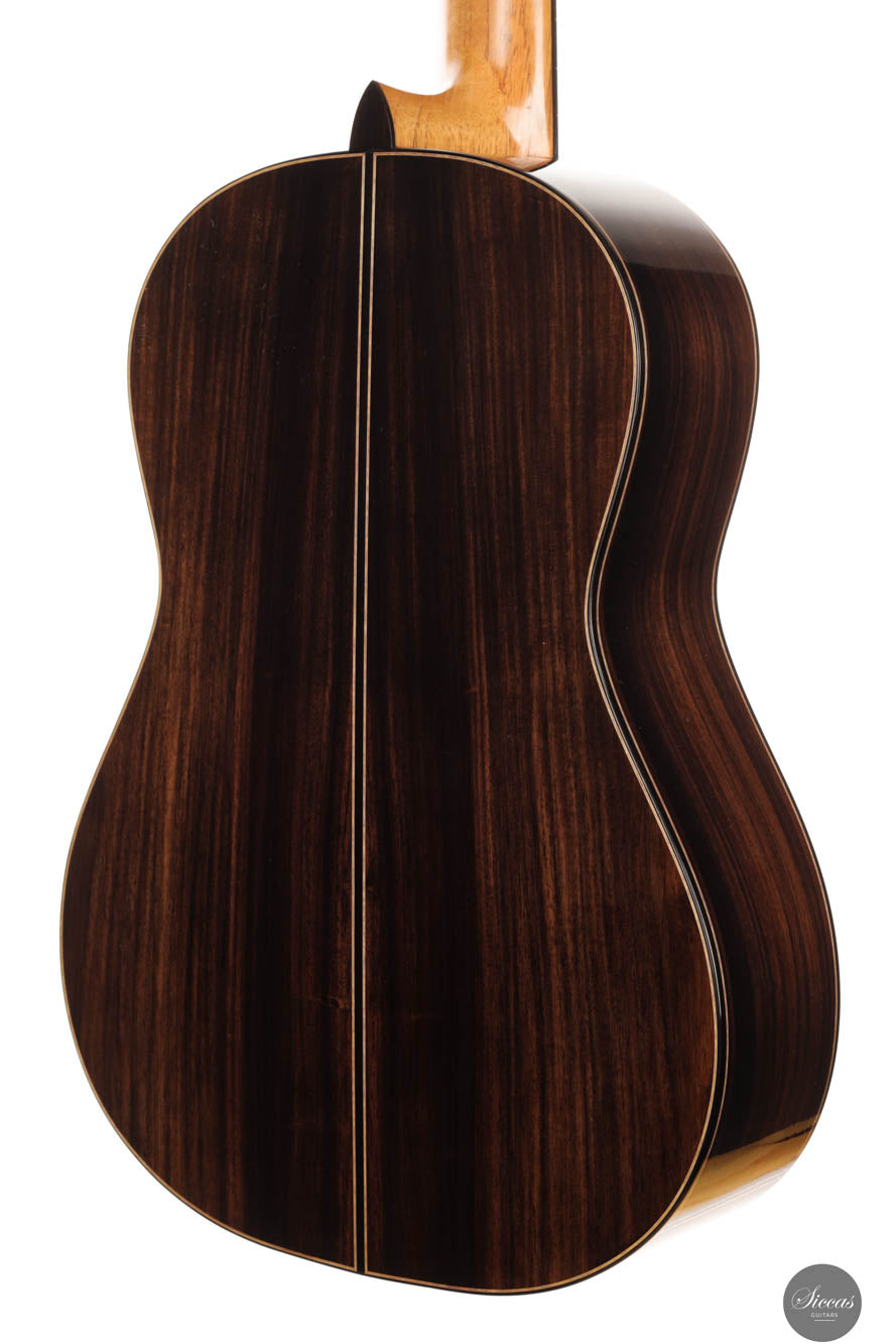 Raffaele Dantone - 2024 - Back and sides