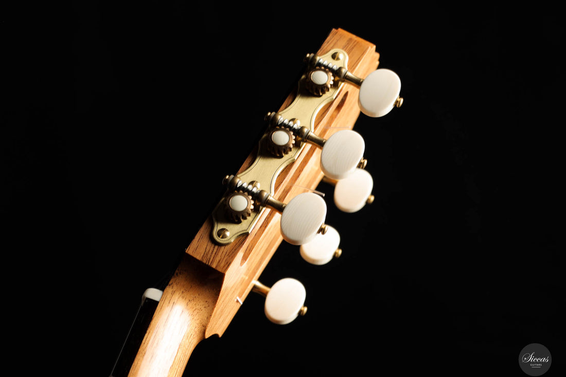 Raffaele Dantone - 2024 - Neck and tuner