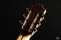 Ramin Fallah – 2024 C-Stage Thermo Spruce/Wenge No. 448