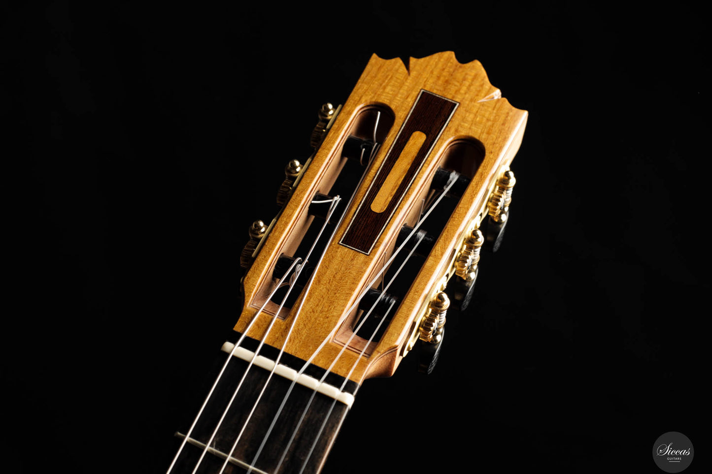 Ramin Fallah - 2024 No. 458 Spruce/Mulberry