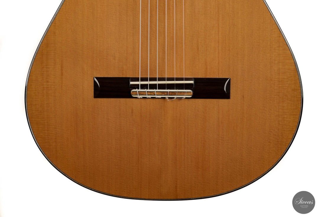 Renaud Galabert - 2023 Doubletop No. 116