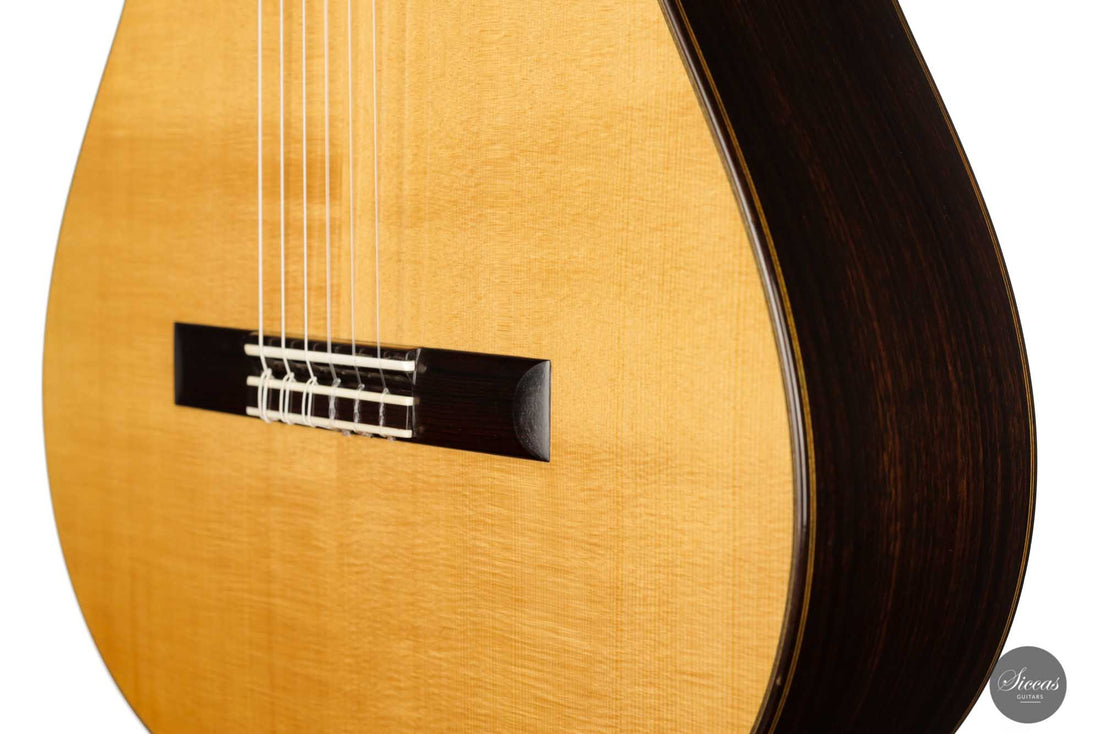 Robert Ruck - 1995 No. 599