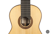 Roberto Pozzi - 2015 8-string