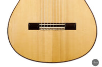 Roberto Pozzi - 2015 8-string