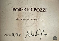 Roberto Pozzi - 2015 8-string