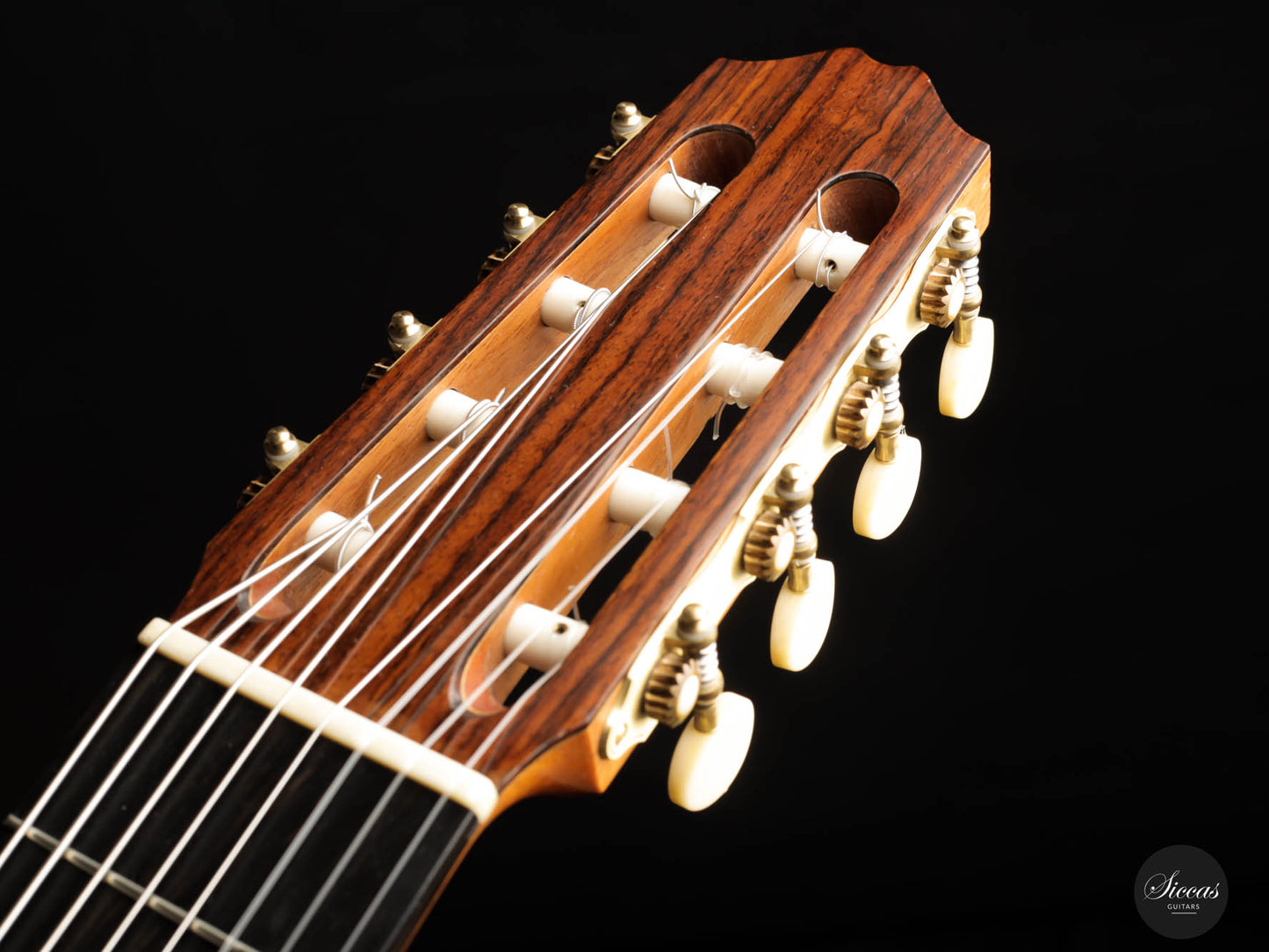Roberto Pozzi - 2015 8-string