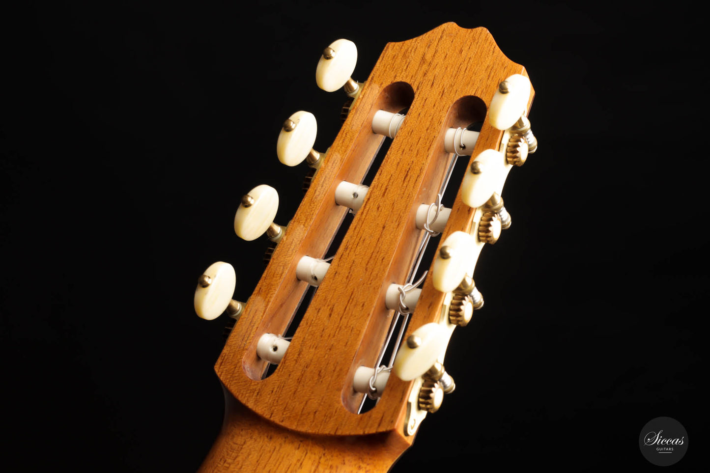 Roberto Pozzi - 2015 8-string