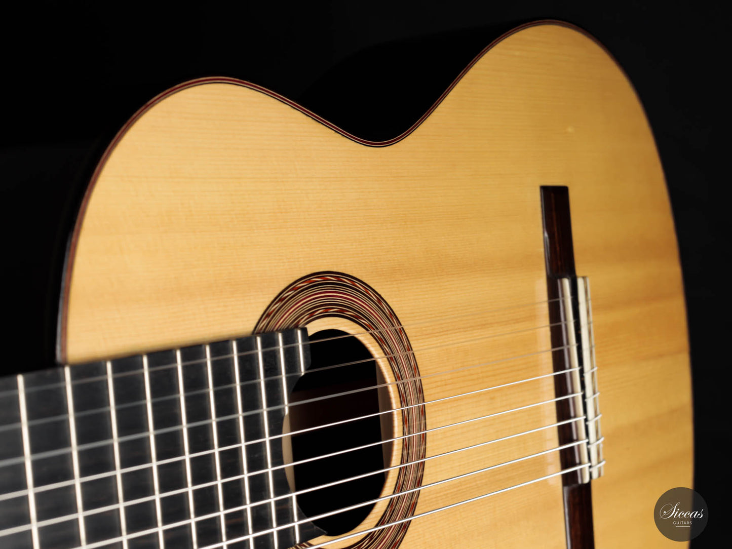 Roberto Pozzi - 2015 8-string