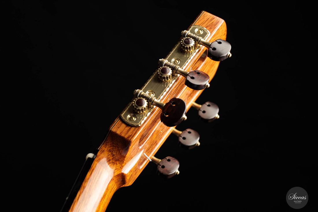 Roy Fankhänel –  “Special Edition” 2016 RF173