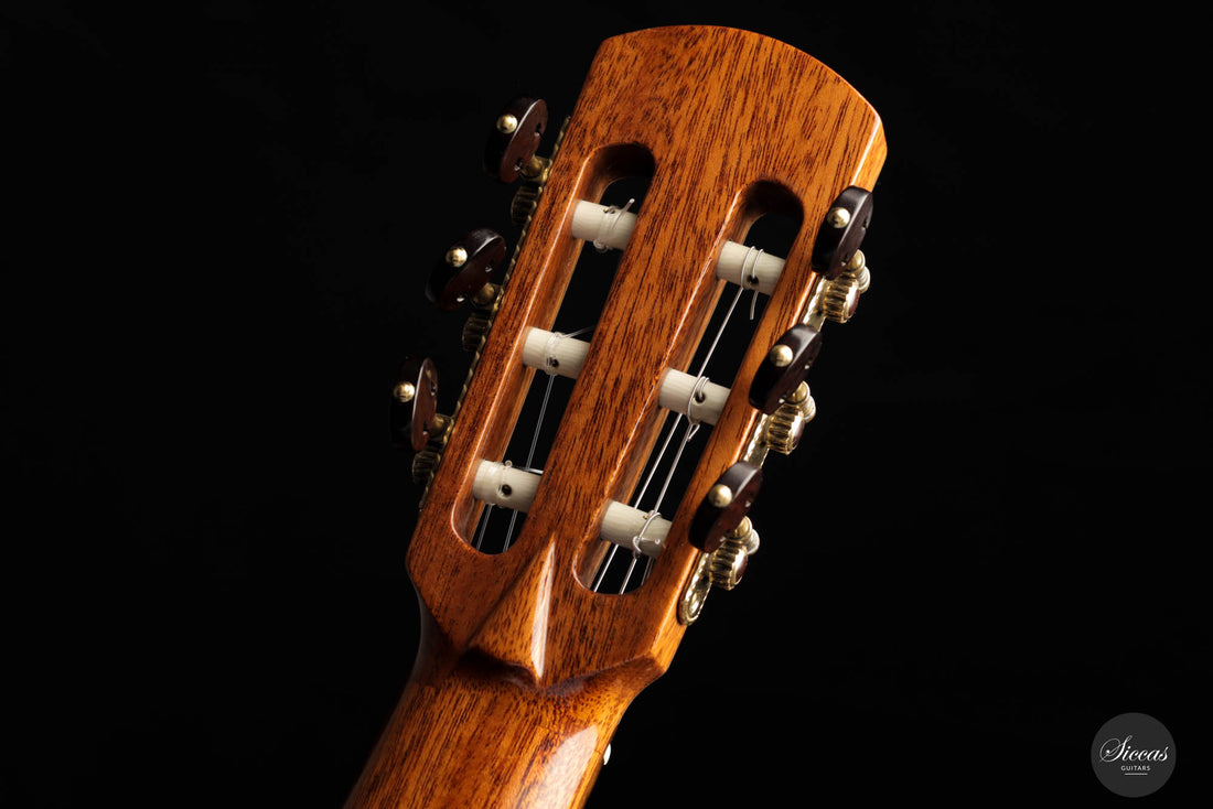 Roy Fankhänel –  “Special Edition” 2016 RF173