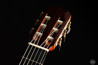 Saeid Aboutalebian - 2025 No. 65