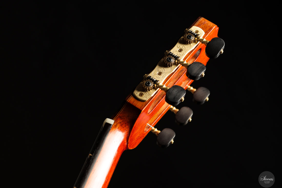 Saeid Aboutalebian - 2025 No. 65