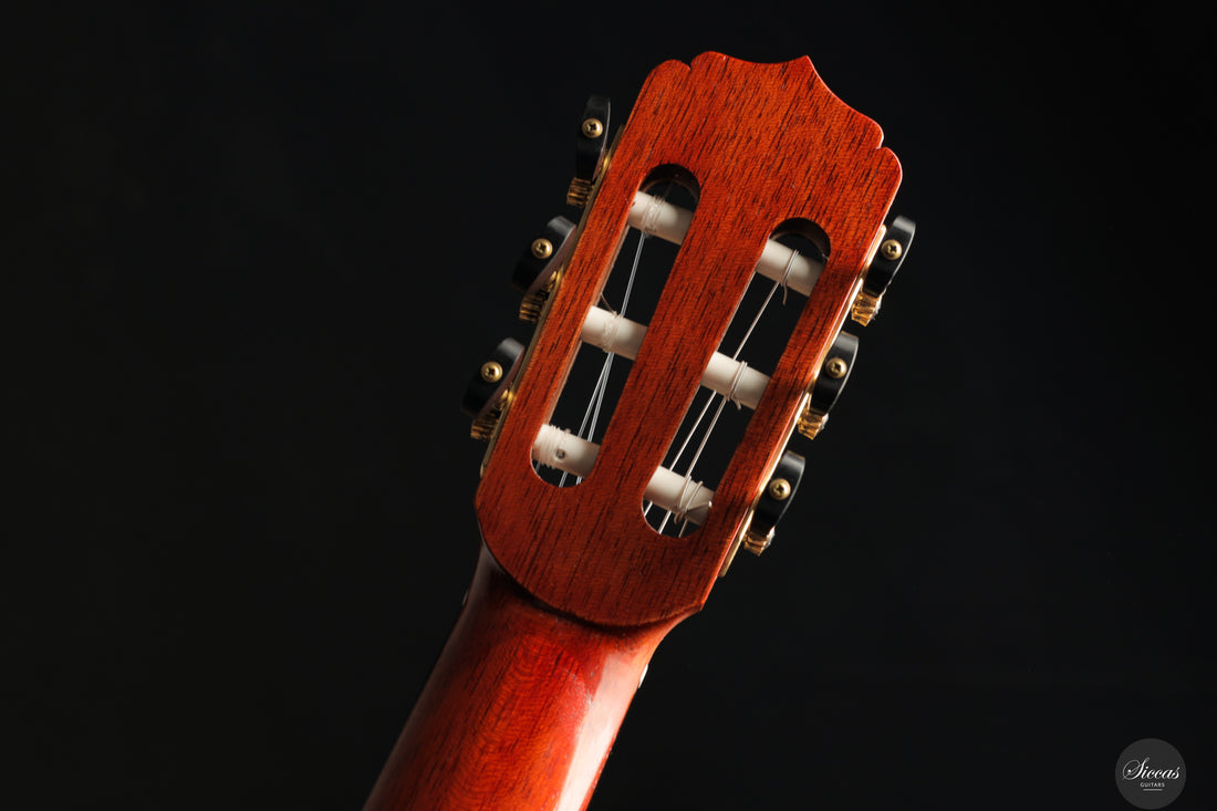 Saeid Aboutalebian - 2025 No. 65