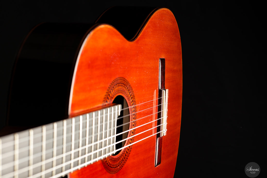 Saeid Aboutalebian - 2025 No. 65