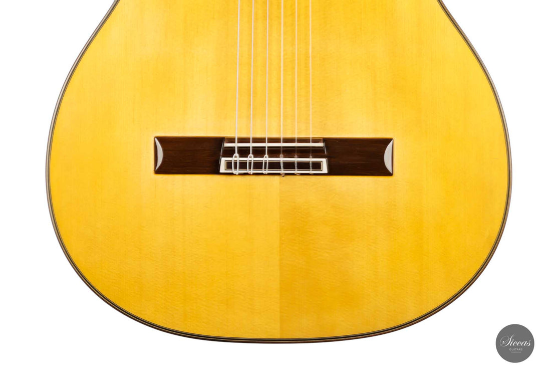 Sakurai Kohno - 2023 Professional J Fichte 64 cm