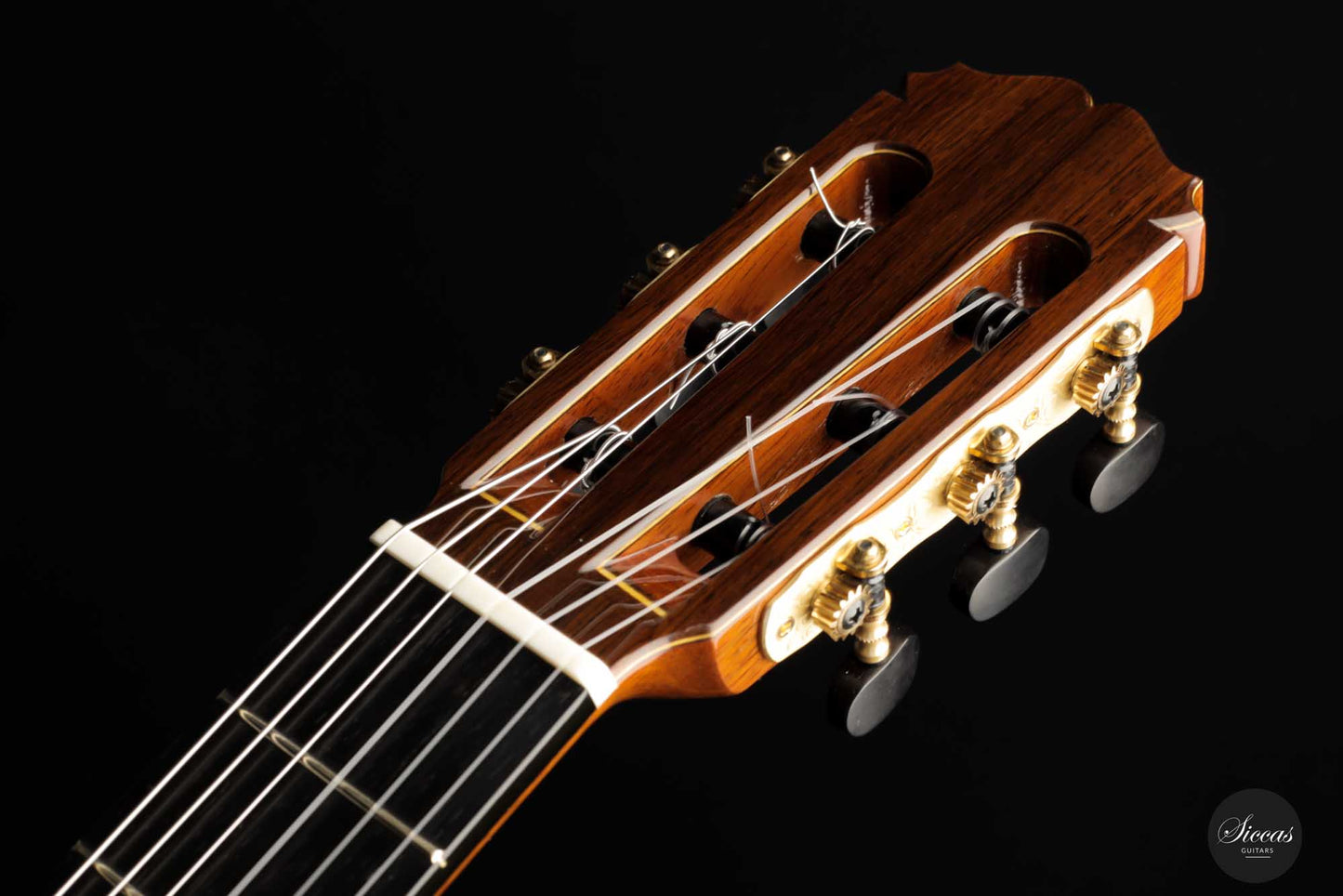 Sakurai Kohno - 2023 Professional J Fichte 64 cm