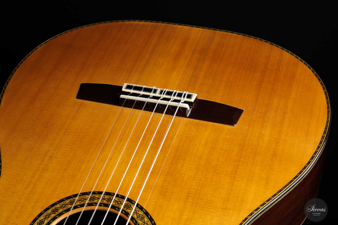 Sakurai Kohno - 2022 Special Zeder