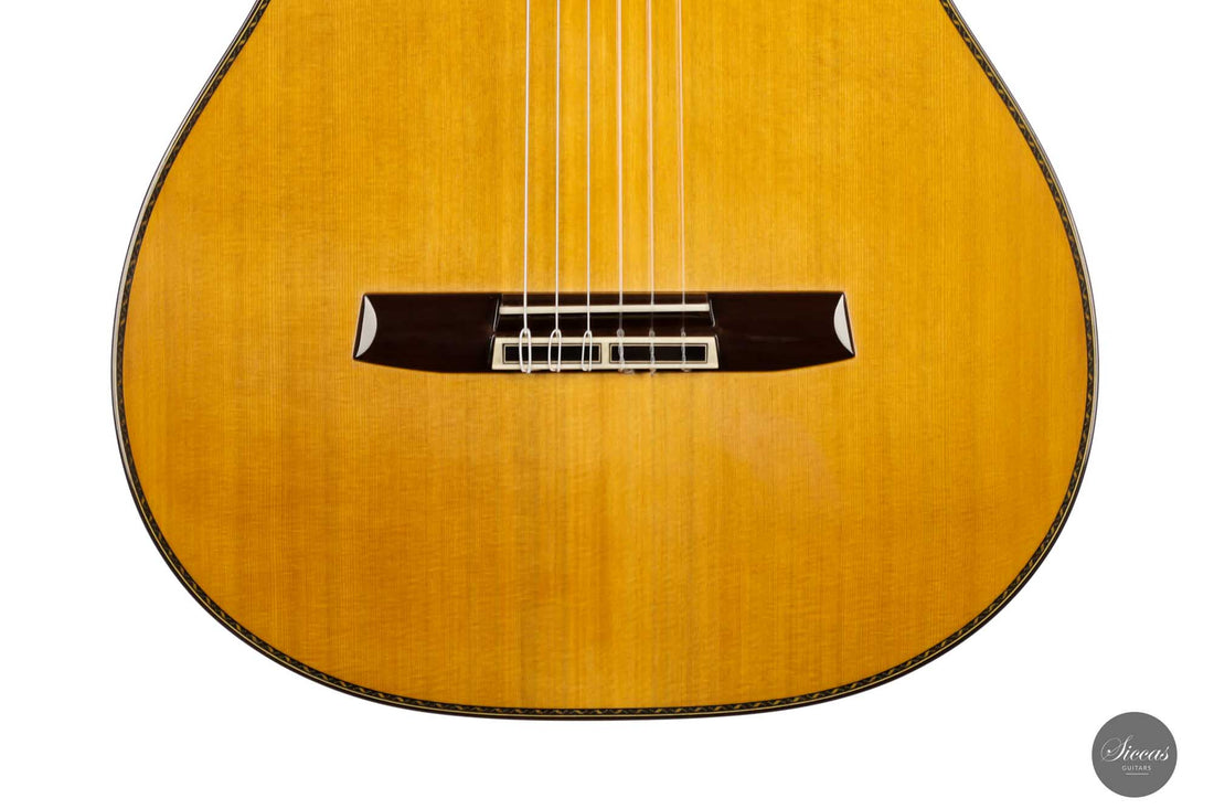 Sakurai Kohno - 2022 Special Zeder