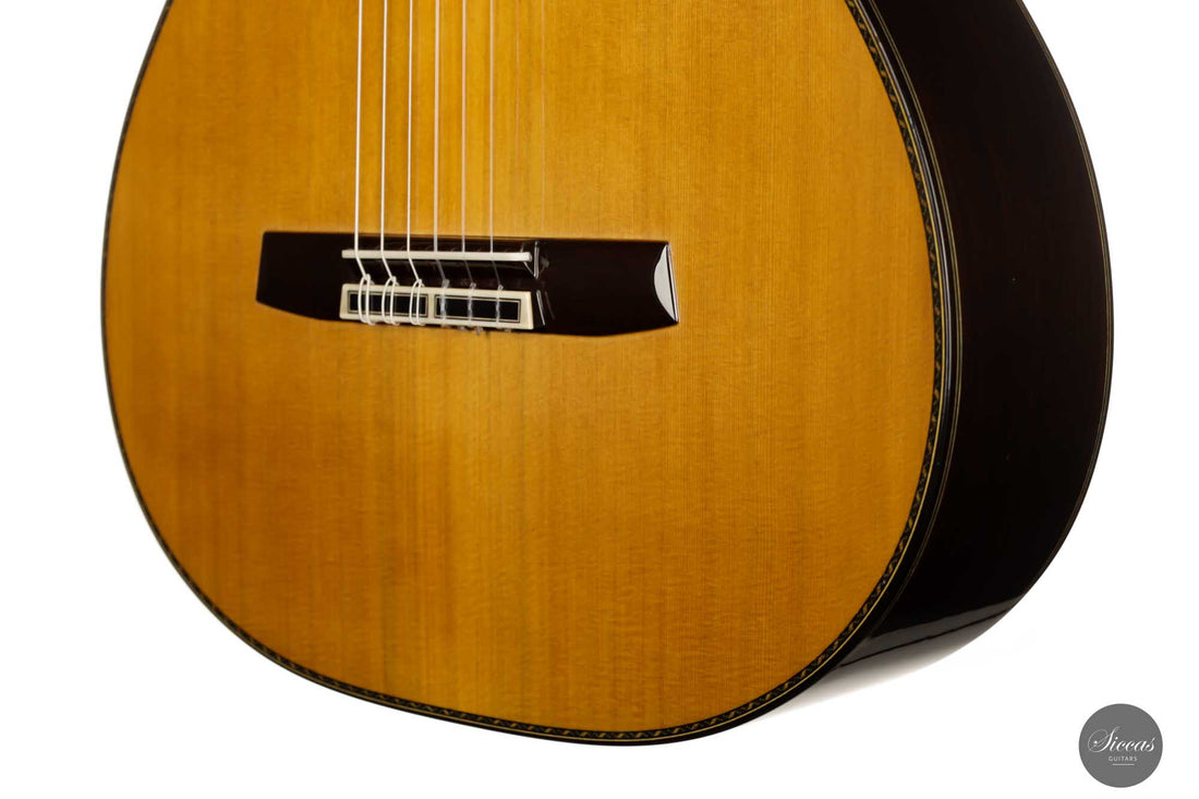 Sakurai Kohno - 2022 Special Zeder