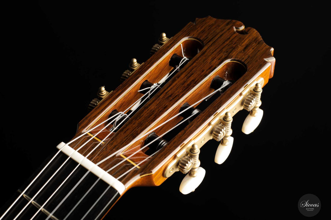 Sakurai Kohno - 2022 Special Zeder