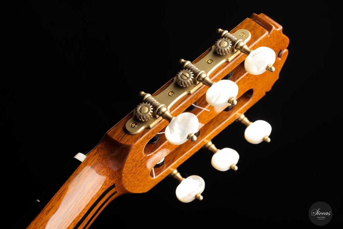 Sakurai Kohno - 2022 Special Zeder