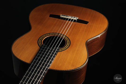 Sakurai Kohno - 2023 Special Cedar