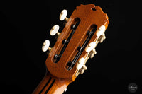 Sakurai Kohno - 2022 Special Zeder